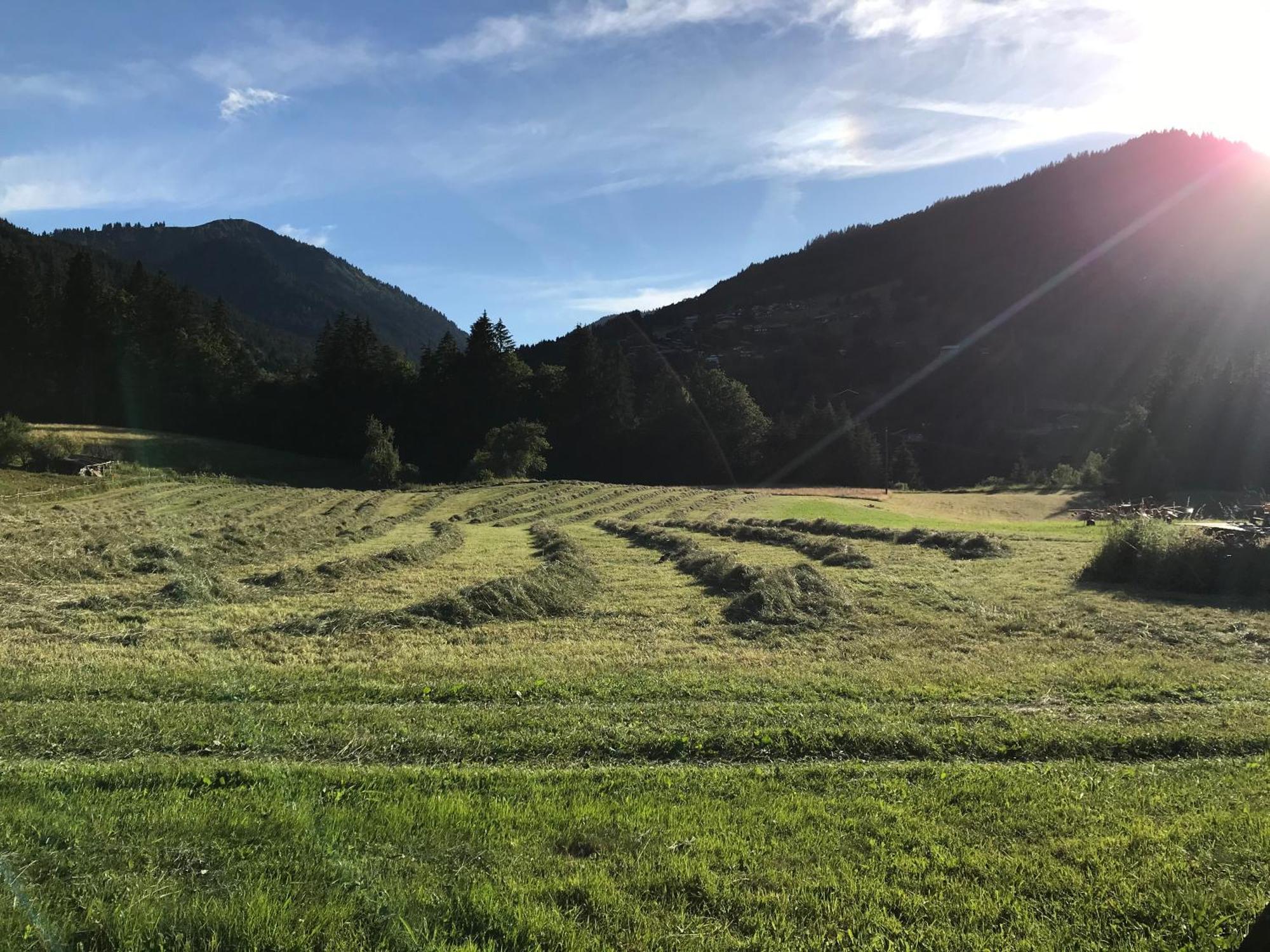 Chalet La Merlerie Morzine Eksteriør bilde