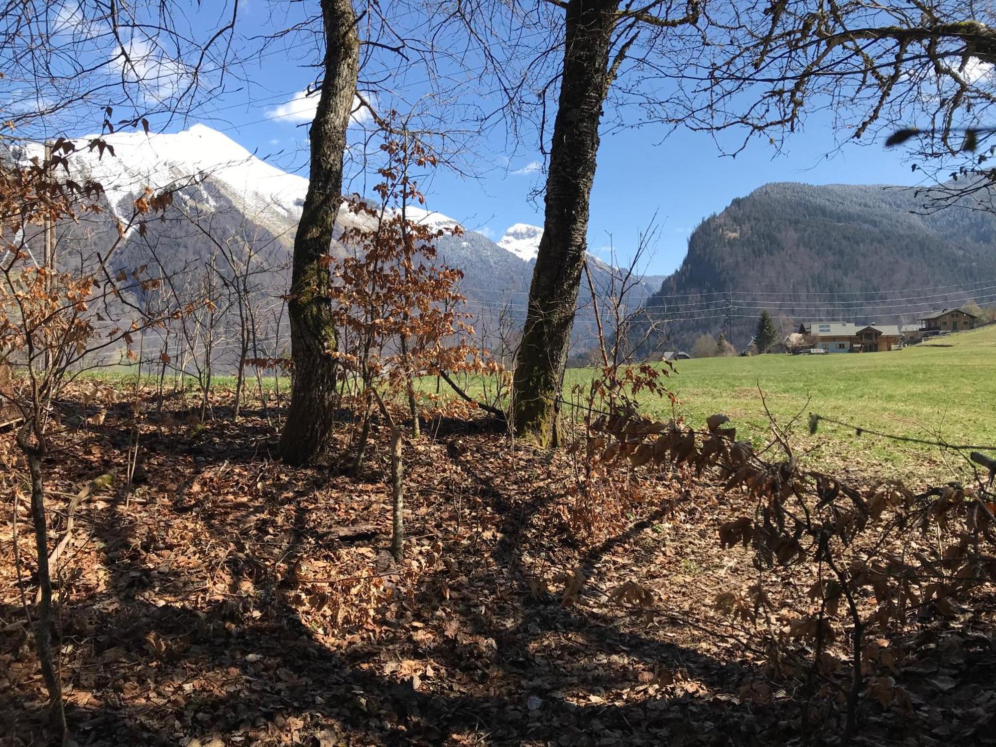 Chalet La Merlerie Morzine Eksteriør bilde